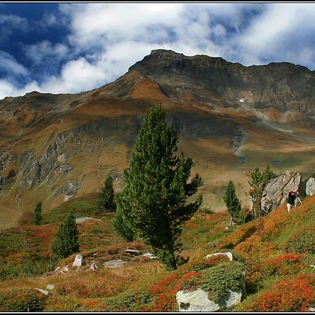 Appartements Alpengarten 말니츠 외부 사진